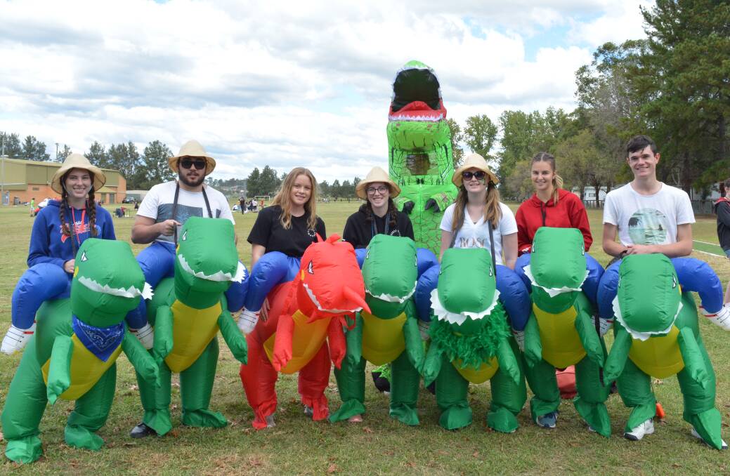 Dinosaur riding jockeys: Gloucester High School year 12 students get dressed up for their final athletics carnival ever. Photo: Anne Keen
