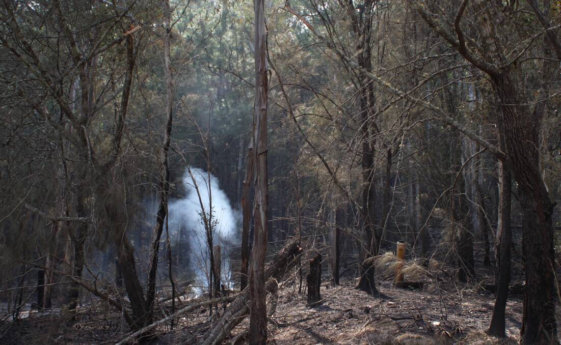 Smoldering: Fire lures in the tree stumps and under fallen trees. Photo: Dave Keen