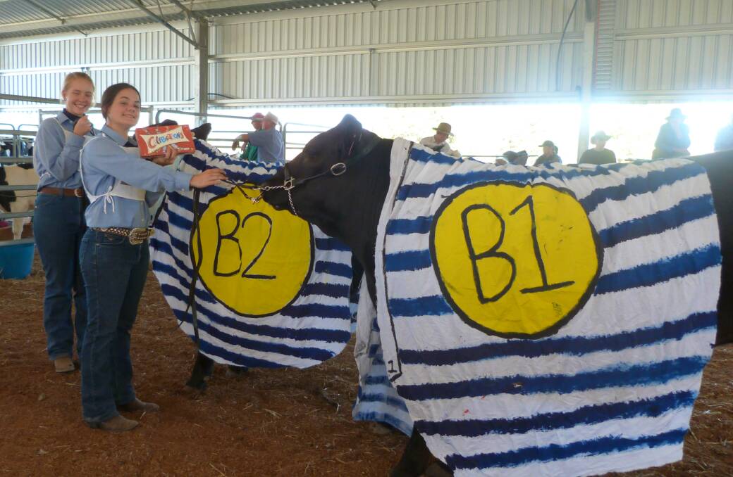 EJ Blanch and Miranda Riley choose Bananas in Pajamas for the fancy dress competition. Photo supplied.