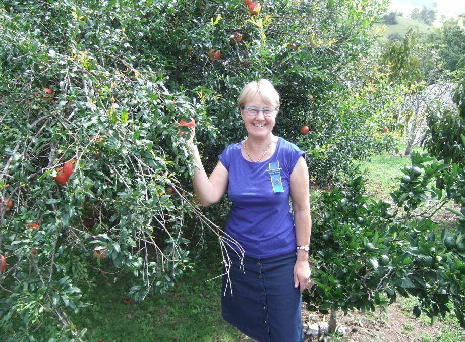 Sandy Tebbet among the pomegranate trees. Photo supplied
