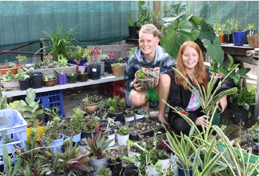 Cousins potting plants for PCYC. Photo supplied