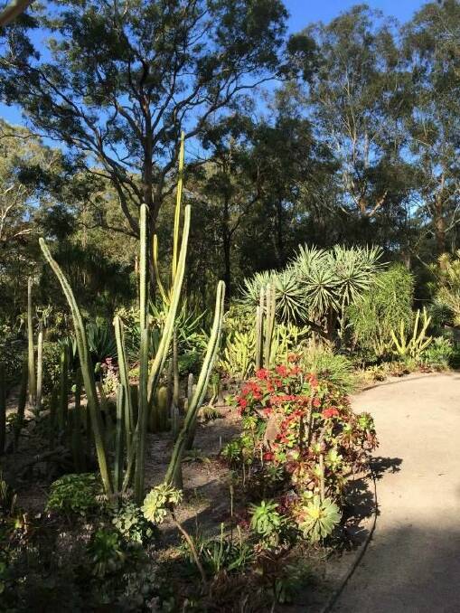 Take part in the Gloucester Environment Group's next adventure to the Hunter Region Botanic Gardens and Hexham Wetlands. Photo supplied