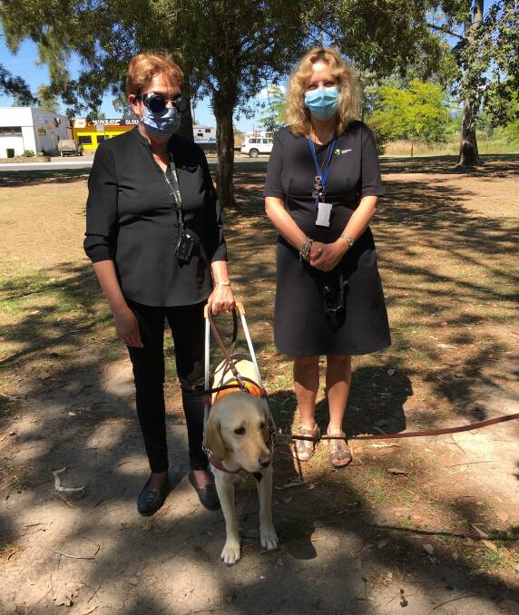 what side do guide dogs walk on
