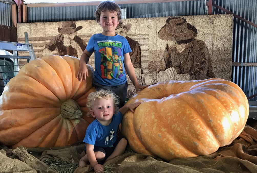 Sam Marchant standing and Michael Harris sitting with the pumpkins before the journey to the Sydney Royal Easter Show. Photo supplied