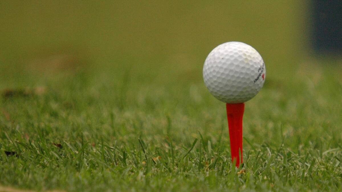 Werz wins in veterans golf