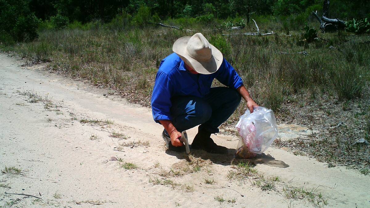 Biosecuirty Officer Richard Ali setting traps in the Upper Hunter. Photo courtesy of Hunter Local Land Services