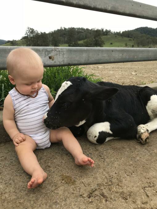 Liv's son Henry in 2018 when he was a year old with a day old calf. 