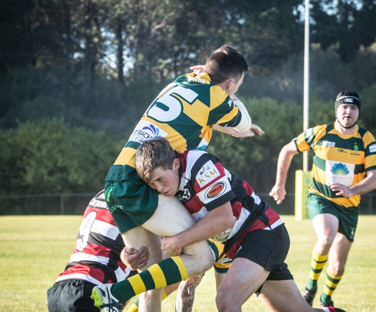 Ryan Yates playing for Gloucester Cockies during a clash against Forster. Photo Zac Lyon