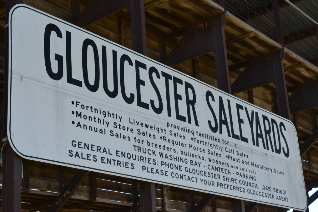 Gloucester Saleyards holds a combined store sale fortnightly on Thursdays.