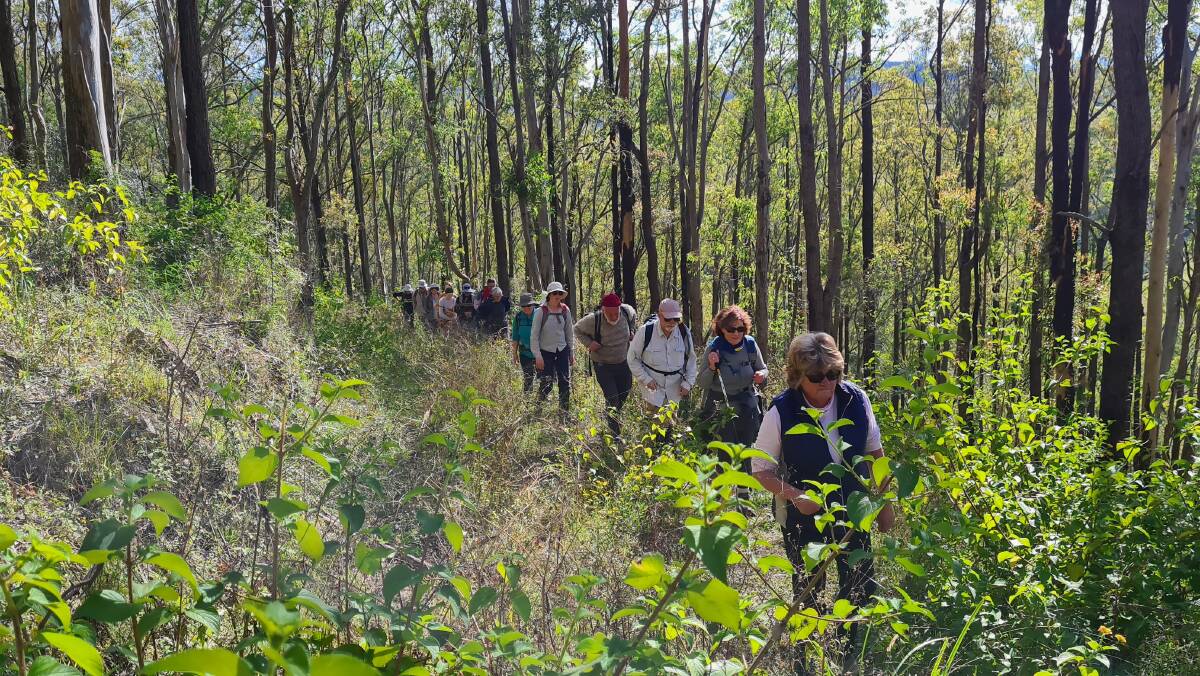 Keen Gloucester Environment Group members take a walk in Monkerai. Photo supplied