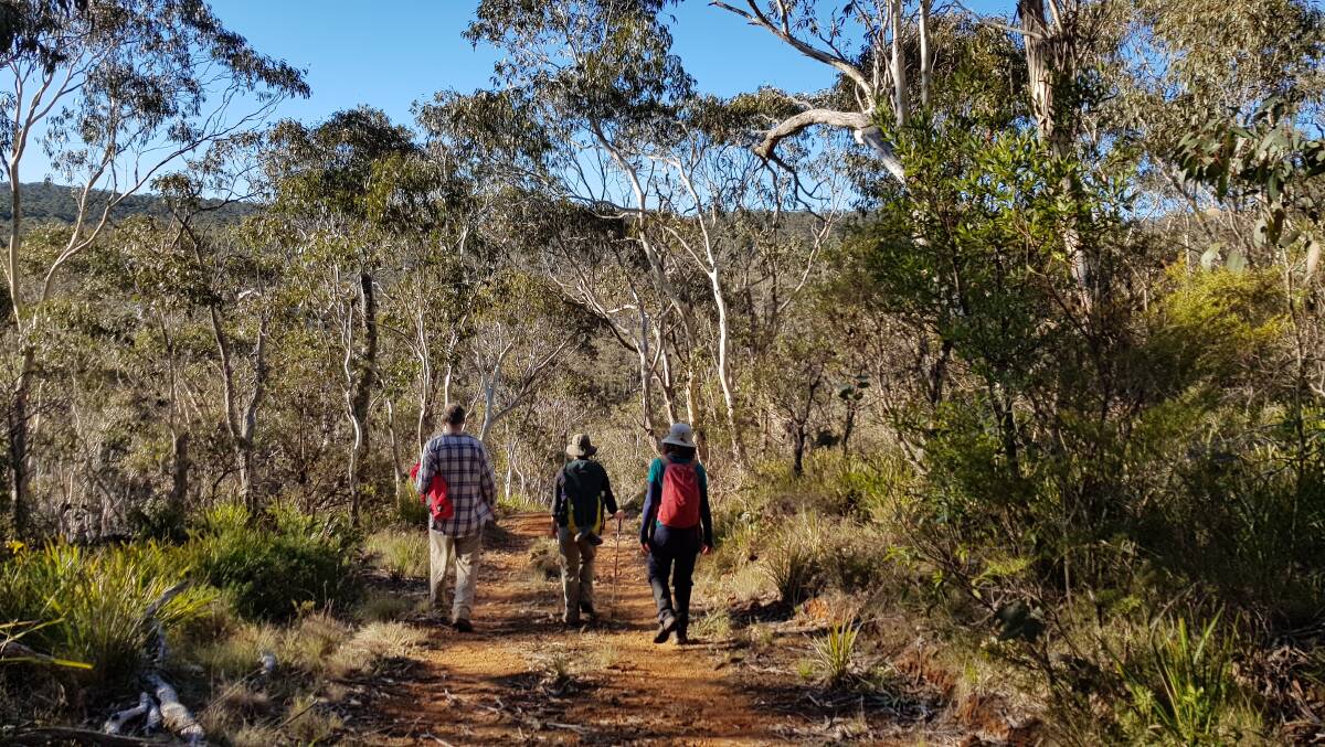 Gloucester Environment Group members taking a stroll along Gloucester Gap. Photo supplied