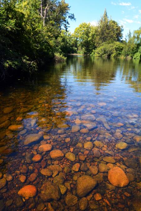 It might be a nice weekend for a dip in the Barrington River. 