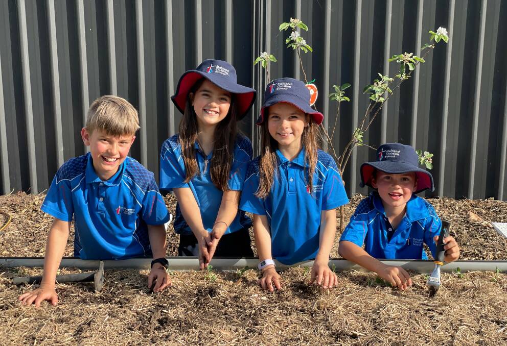 Students from Maitland Christian School gets their hands into the school's garden bed. Photo supplied
