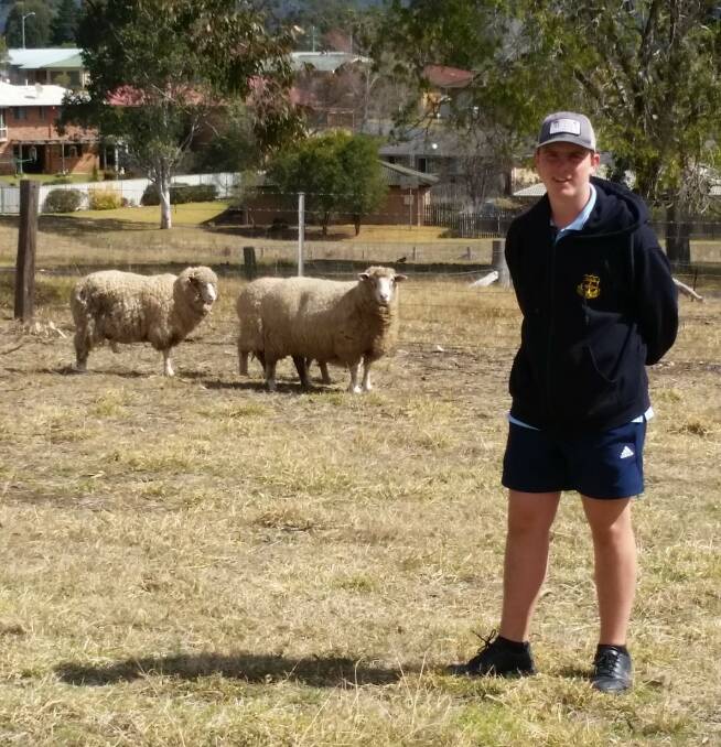 GHS student Anthony Shultz with some of the sheep. Photo supplied