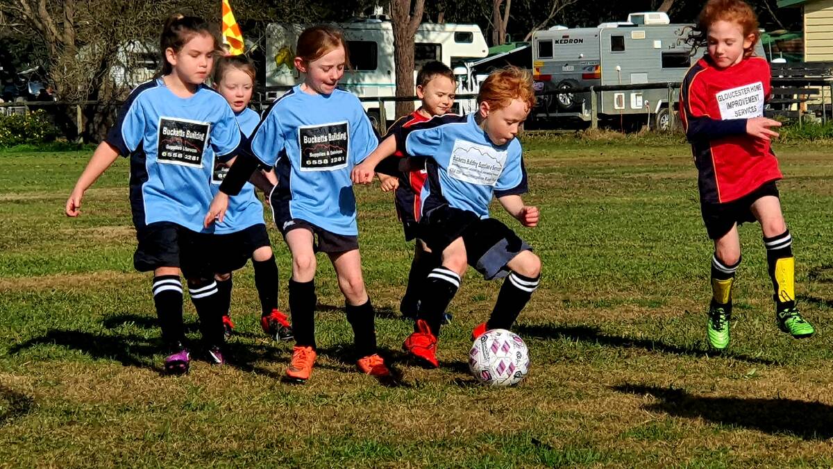 Gloucester's youngest soccer players return to the field. Photo supplied