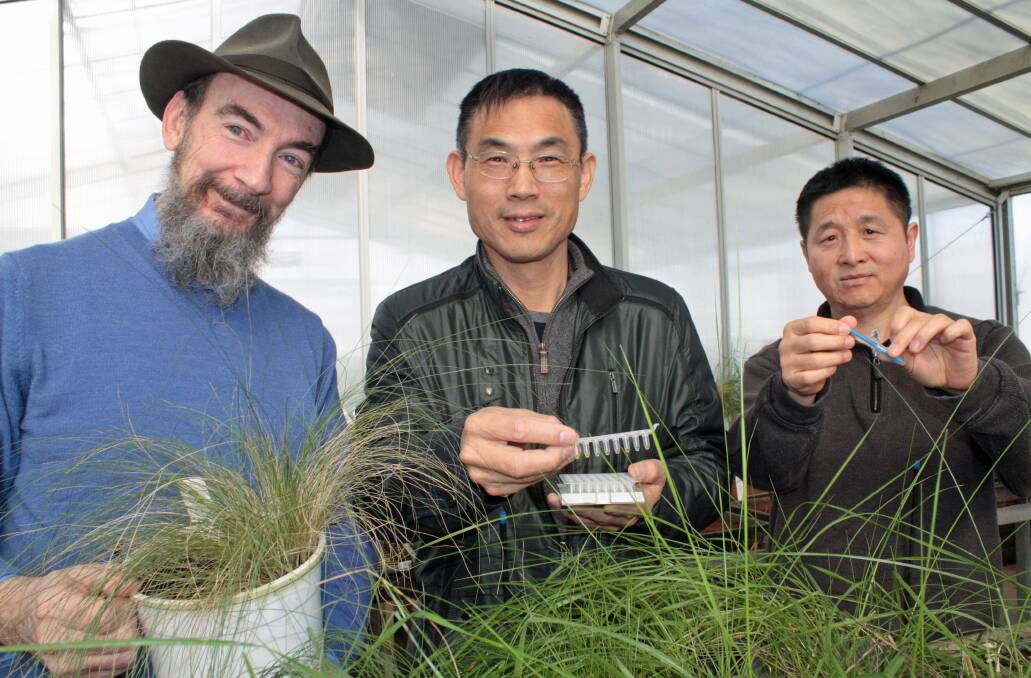 NSW DPI scientists, David Gopurenko, Hanwen Wu Aisuo Wang have developed a field kit to identify invasive weeds in their early growth stages.