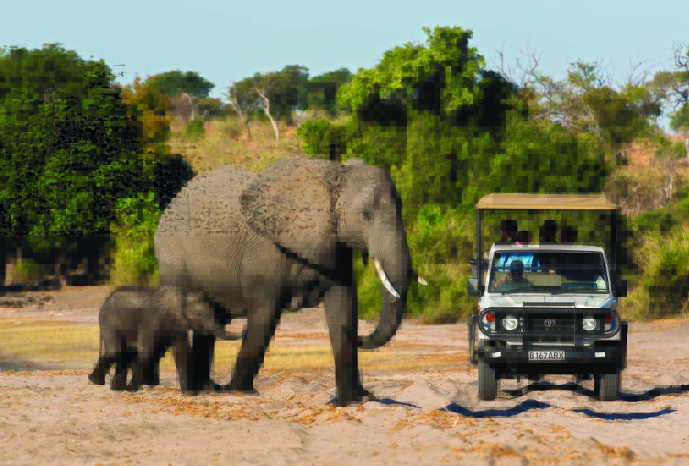 World Expeditions: Ongoing drive to deliver ethical wildlife experiences.