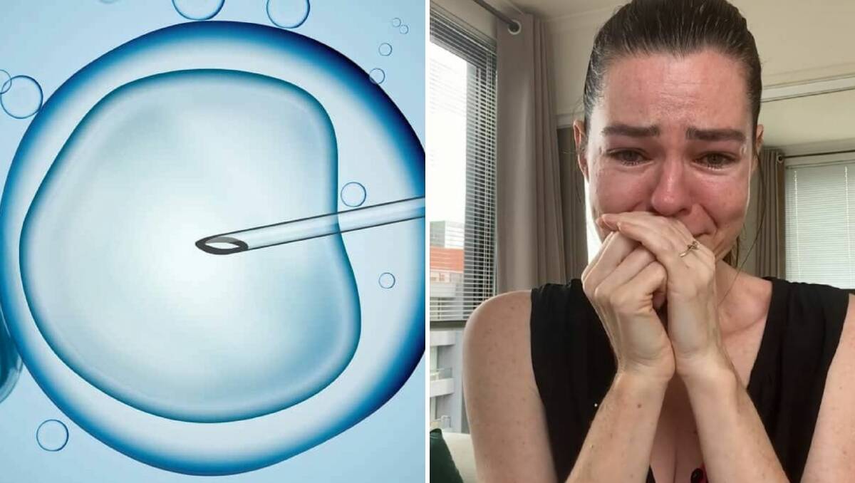 Watch Premier Dan Andrews reverse the state’s IVF ban as a result of Melanie Swieconek’s viral appeal | Gloucester Advocate