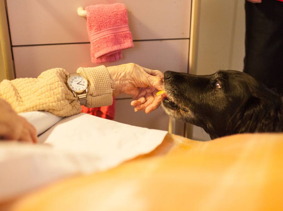 Deena accepts biscuits from resident Molly. Photo: Rachel Mounsey