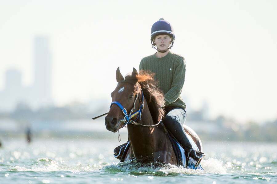 Francesca Cumani rides Wall of Fire at Altona Beach in preparation for the Melbourne Cup. Francesca, a respected horsewoman and TV personality, is married to Rob  Archibald who works for Hugo Palmer, who is looking after Wall of Fire leading up to the Cup. 