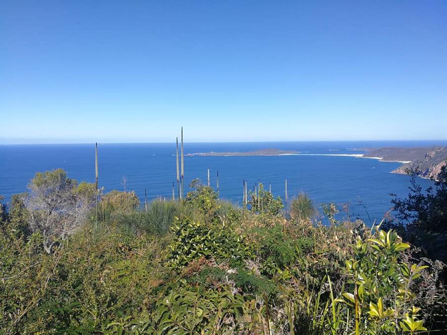 Stunning vista: This was the view that awaited the Gloucester Environment Group members on a recent walk to Hawks Nest.