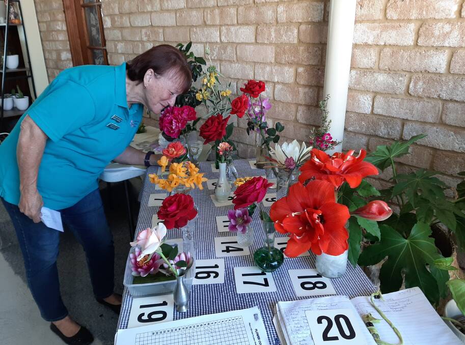Quite a display: Member Robyn Franks enjoys the competition blooms in all their spectacular colour. 