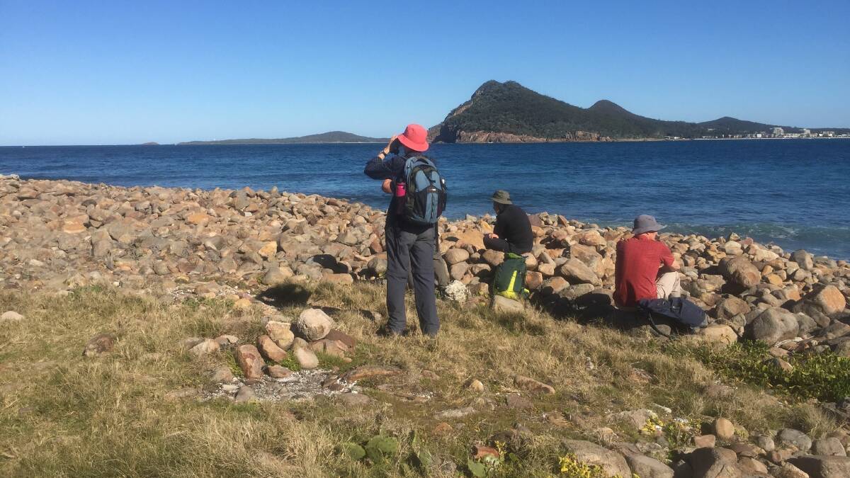 Winged discovery: Gloucester Environment Group members spy birds, but sadly no whales, on Yacaaba Headland. Photo supplied.