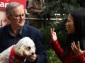 Anthony Albanese and new Labor MP for Reid Sally Sitou on Sunday morning. Picture: AAP