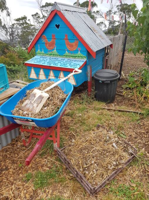 As well as saving time, the self-cleaning chook house design also creates a healthy environment for your chickens. Pictures: Hannah Moloney. 