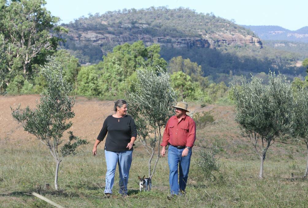 Forced out: Former Muswellbrook councillor Christine Phelps and husband Ray on their property at Wybong before they were forced to sell because of coal mining. Mrs Phelps said the 