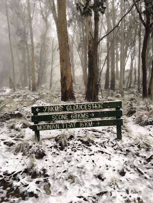 The first dumping of snow for 2019 at Barrington Tops. Image Courtesy of Moonan Cottage on Barrington Coast Facebook page.