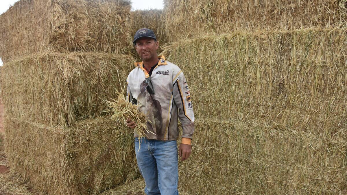 HAY NOW: Cowell farmer Brenton Smith welcomes the donation as feed dries up in the district.