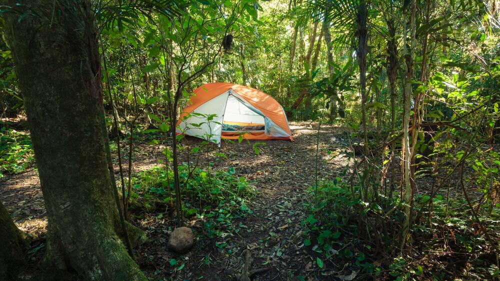 Echo Point campsite on Albert River Circuit in Lamington National Park in Queensland.