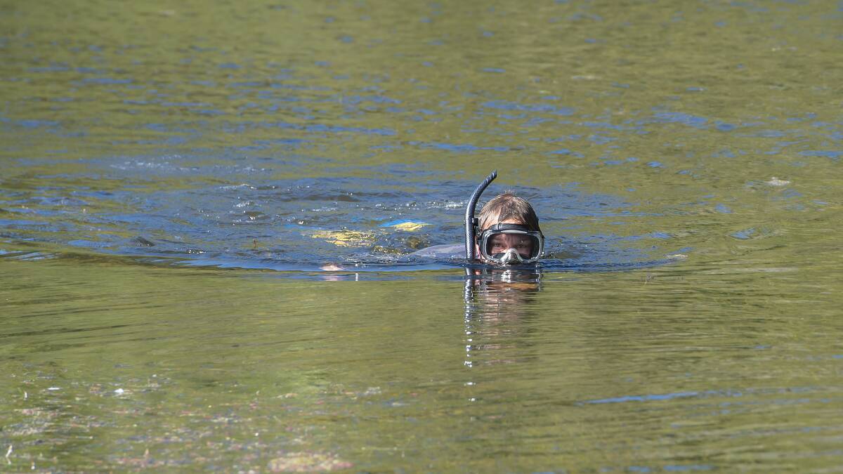 Tim Faulkner searching for the Manning River Turtle. Photo: Bronwyn Ellis