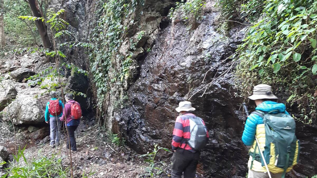 Gloucester Environment Group climb the cliff face at Woko