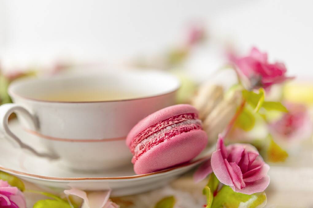 Join Gloucester VIEW Club for morning tea to celebrate International Women's Day. Picture Pixabay. 
