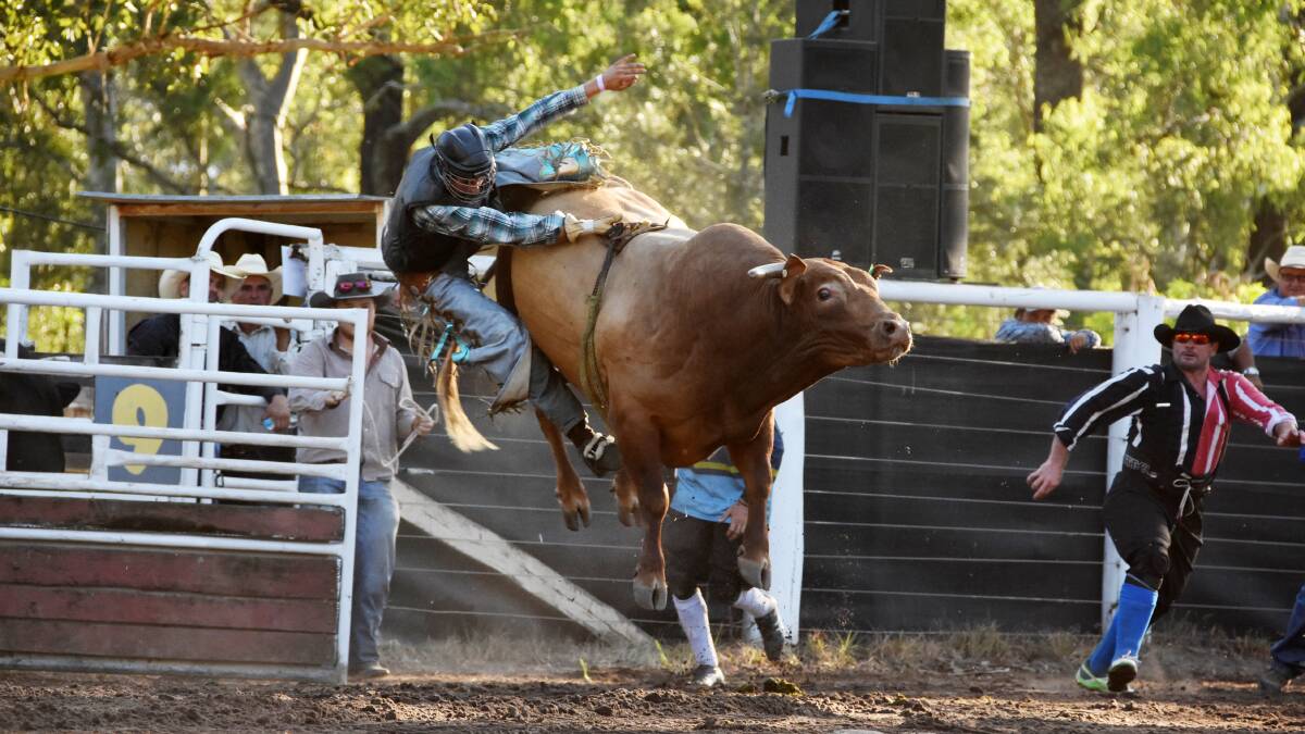 Wingham Summertime Rodeo 2018 results