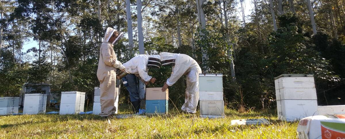 Sticky Tips: Mentoring sessions on beekeeping are part of the hive adoption program. Photo: supplied