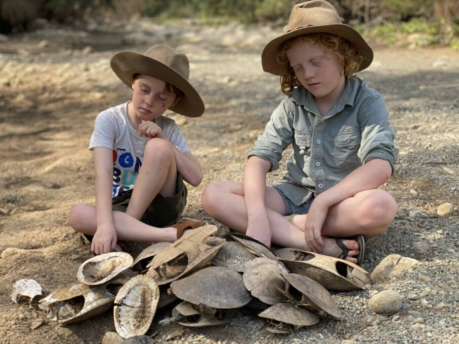 Tim Faulkner's sons Matthew and Billy with the empty shells of dead turtles on a recent trip to find turtles. Photo supplied by Aussie Ark