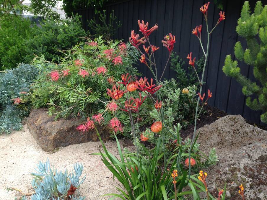The key to a successful native garden is weed control. Photo supplied