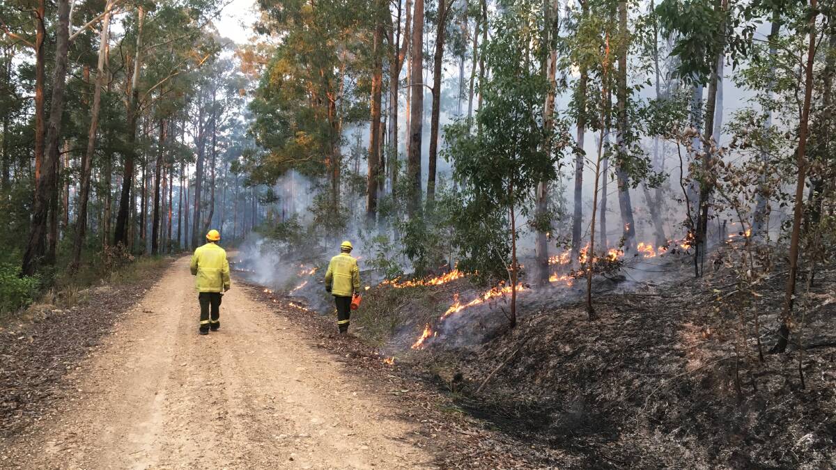 Forestry Corporation staff conducting a hazard reduction burn in Bulls Ground State Forest, near Herons Creek. Photo by Shane Dickinson.