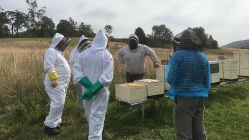 Mid Coast 2 Tops held a beekeeping workshop. Photo supplied