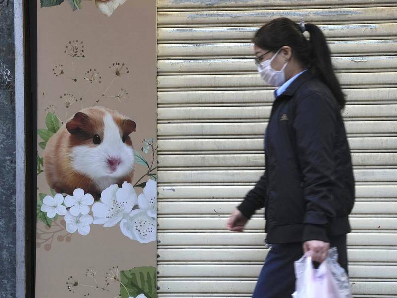 A new cluster of COVID cases is centred on a pet shop in Hong Kong, prompting a cull of hamsters.