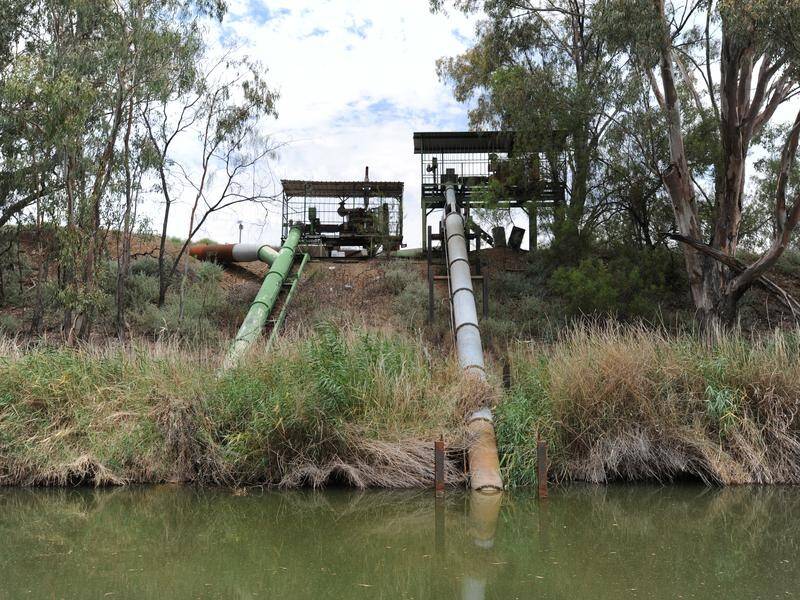 SA Environment Minister David Speirs says there are good conditions across the Murray-Darling Basin.
