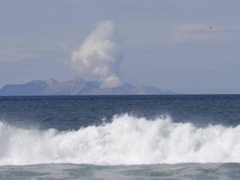Plumes of steam rise above White Island off the coast of Whakatane, New Zealand.