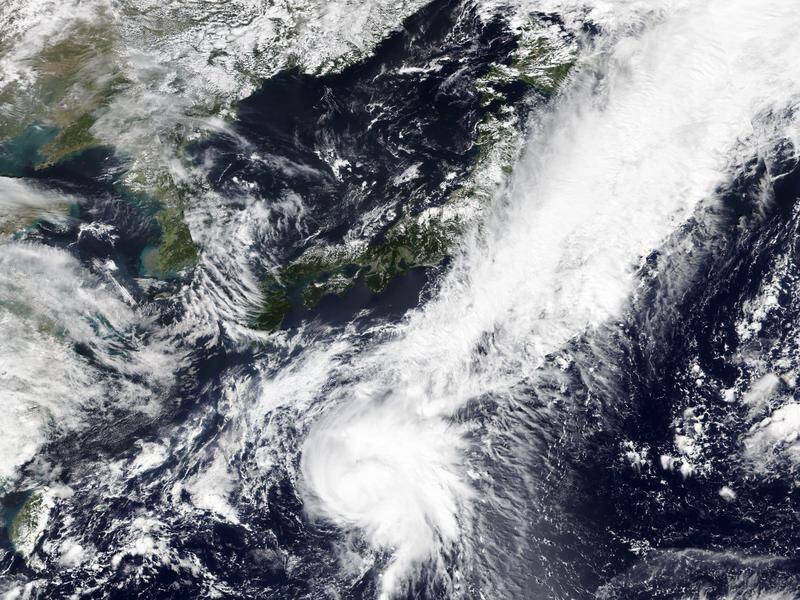 Tropical Storm Dolphin is moving north towards Japan with sustained winds of 82km/h.