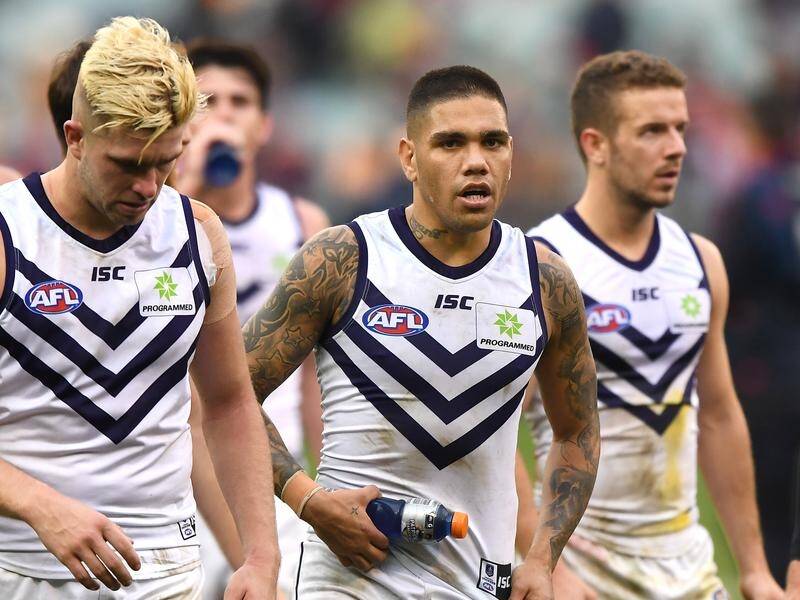 Michael Walters (C) has been playing well despite the niggle he gets, Fremantle's Nat Fyfe says.