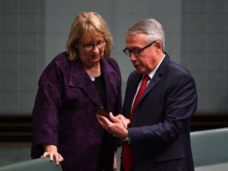 Former Labor treasurer Wayne Swan (R) has given his valedictory speech in Parliament.