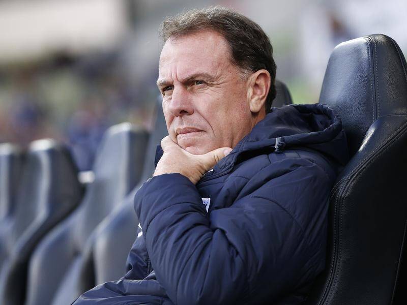 Alen Stajcic expects a decision on his Central Coast future will be made this week.