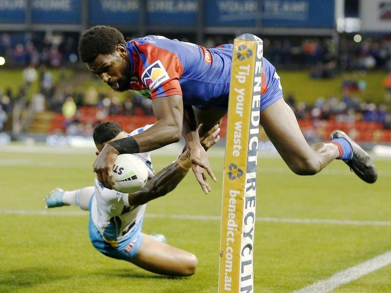Newcastle winger Edrick Lee scored five tries as the Knights swept past Gold Coast 38-12 in the NRL.